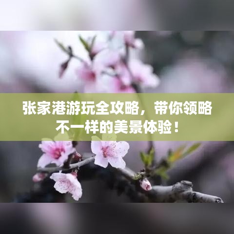 张家港游玩全攻略，带你领略不一样的美景体验！