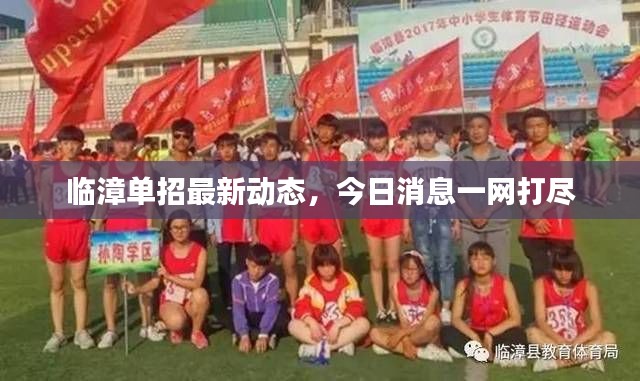 临漳单招最新动态，今日消息一网打尽