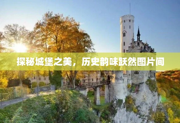 探秘城堡之美，历史韵味跃然图片间