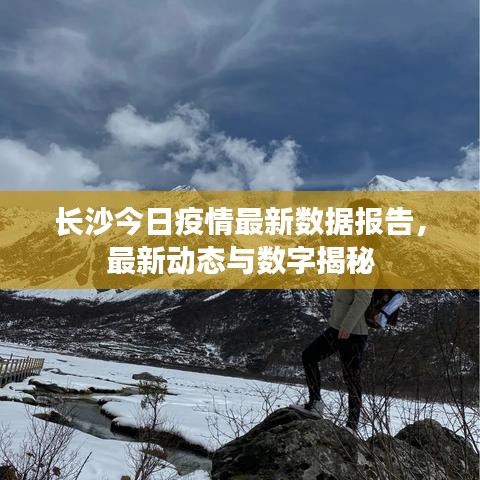 长沙今日疫情最新数据报告，最新动态与数字揭秘