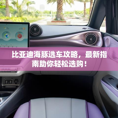 比亚迪海豚选车攻略，最新指南助你轻松选购！