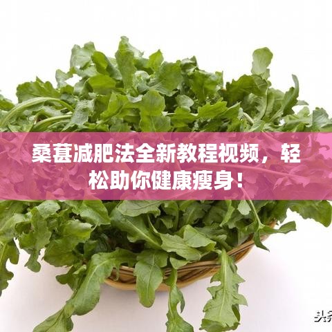 桑葚减肥法全新教程视频，轻松助你健康瘦身！