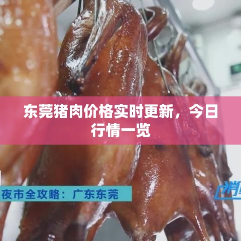 东莞猪肉价格实时更新，今日行情一览