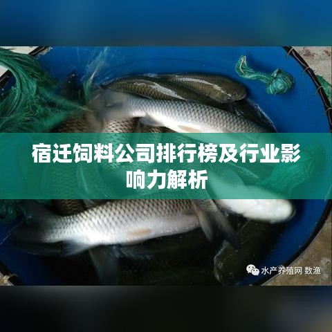 宿迁饲料公司排行榜及行业影响力解析