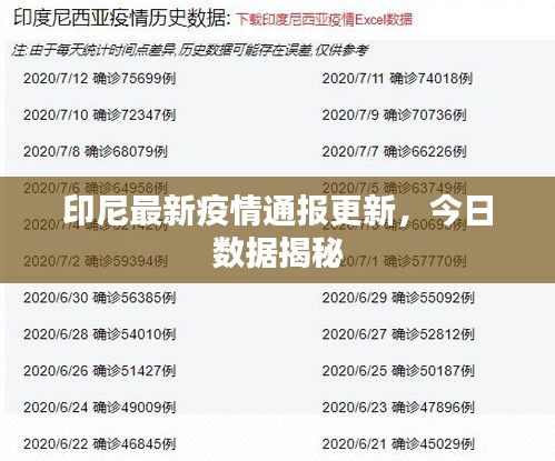 印尼最新疫情通报更新，今日数据揭秘