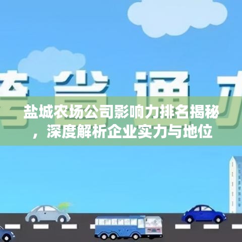 盐城农场公司影响力排名揭秘，深度解析企业实力与地位