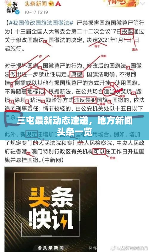 三屯最新动态速递，地方新闻头条一览