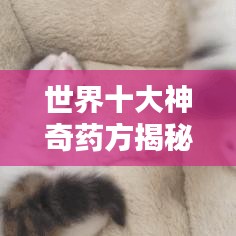 小心翼翼 第2页