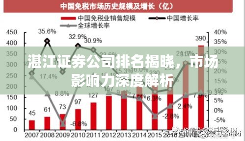 湛江证券公司排名揭晓，市场影响力深度解析