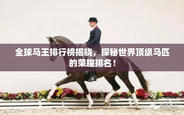 全球马王排行榜揭晓，探秘世界顶级马匹的荣耀排名！