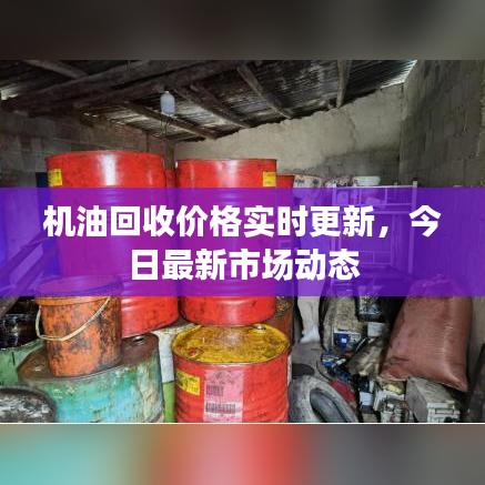 机油回收价格实时更新，今日最新市场动态