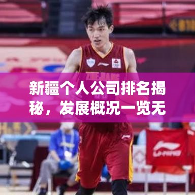 新疆个人公司排名揭秘，发展概况一览无余