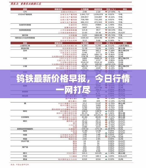 钨铁最新价格早报，今日行情一网打尽