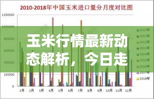 玉米行情最新动态解析，今日走势图解揭秘