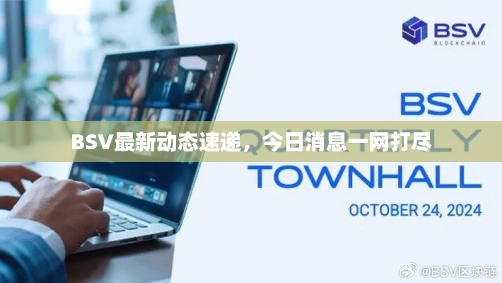 BSV最新动态速递，今日消息一网打尽
