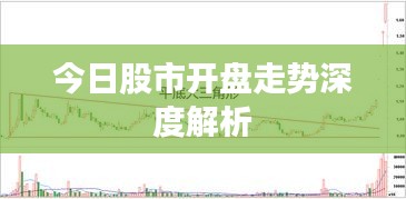 今日股市开盘走势深度解析