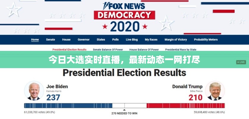 今日大选实时直播，最新动态一网打尽