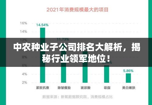 望其项背 第2页