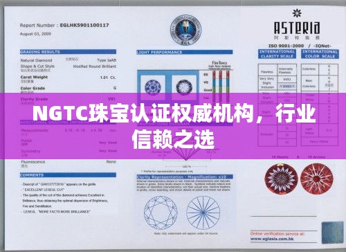 NGTC珠宝认证权威机构，行业信赖之选