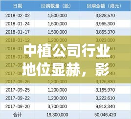 中植公司行业地位显赫，影响力不容小觑，揭秘其在行业中的排名与贡献