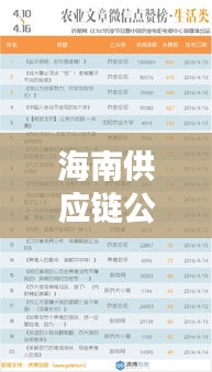海南供应链公司排名揭晓，权威榜单助你快速了解行业巨头！