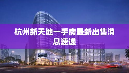 杭州新天地一手房最新出售消息速递