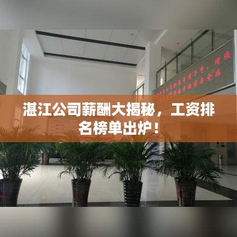 湛江公司薪酬大揭秘，工资排名榜单出炉！