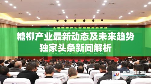 糖柳产业最新动态及未来趋势独家头条新闻解析