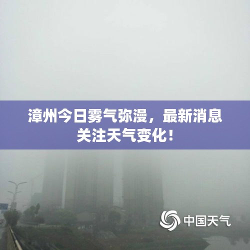 漳州今日雾气弥漫，最新消息关注天气变化！