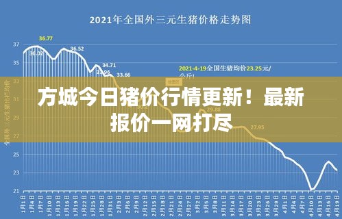 方城今日猪价行情更新！最新报价一网打尽