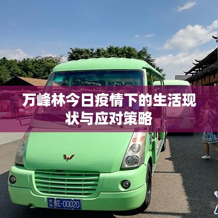 万峰林今日疫情下的生活现状与应对策略