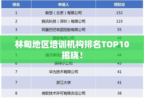 林甸地区培训机构排名TOP10揭晓！
