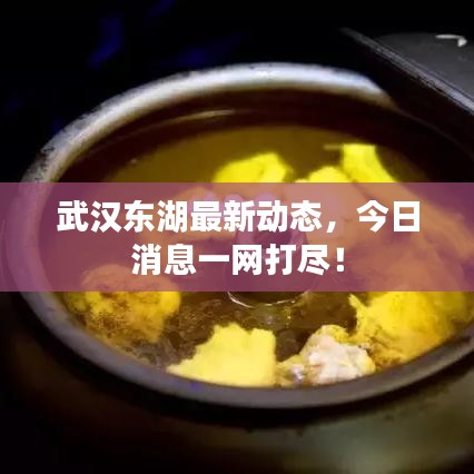 武汉东湖最新动态，今日消息一网打尽！