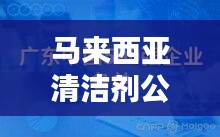 马来西亚清洁剂公司排名揭晓，优质企业榜单