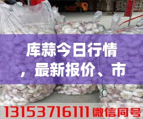 库蒜今日行情，最新报价、市场动态及未来趋势深度解析