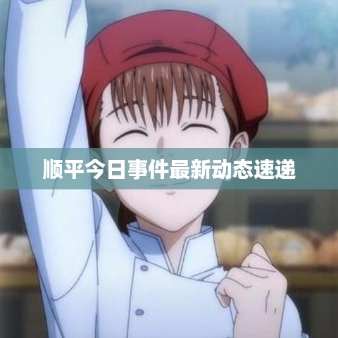顺平今日事件最新动态速递