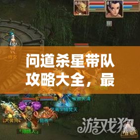 问道杀星带队攻略大全，最新版攻略助你轻松通关！