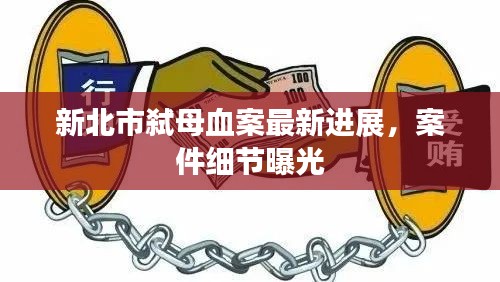 新北市弑母血案最新进展，案件细节曝光