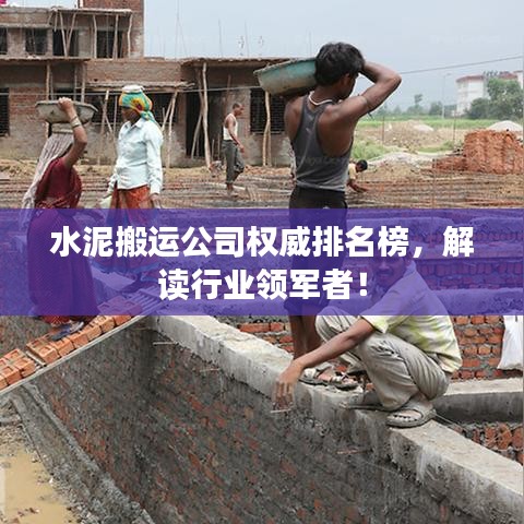 水泥搬运公司权威排名榜，解读行业领军者！
