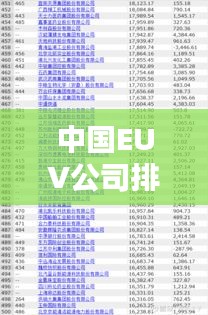 中国EUV公司排行榜揭晓，领先企业一览