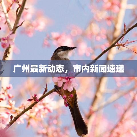 广州最新动态，市内新闻速递