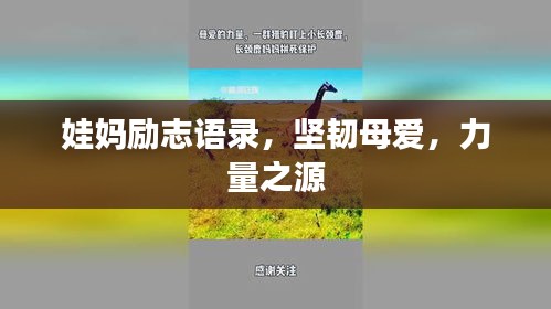 娃妈励志语录，坚韧母爱，力量之源