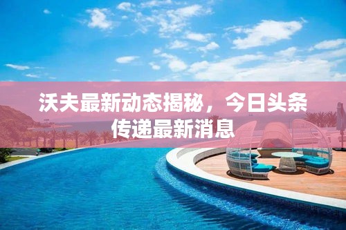 沃夫最新动态揭秘，今日头条传递最新消息