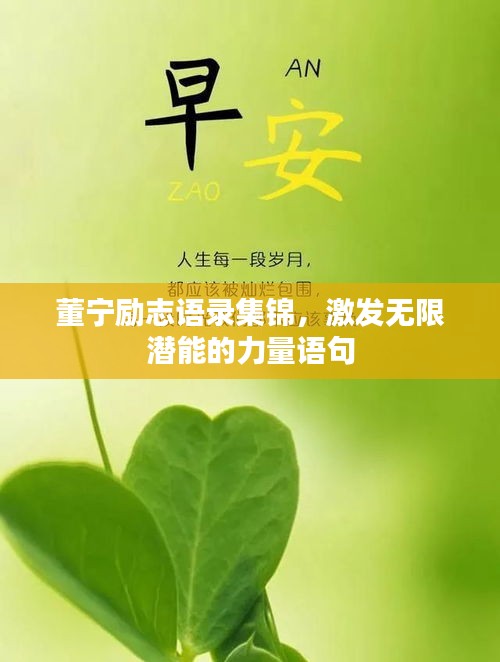 董宁励志语录集锦，激发无限潜能的力量语句