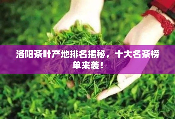 洛阳茶叶产地排名揭秘，十大名茶榜单来袭！