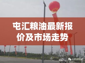 屯汇粮油最新报价及市场走势分析与预测，洞悉行业动态，把握市场先机