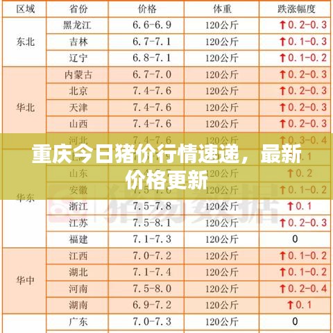 重庆今日猪价行情速递，最新价格更新