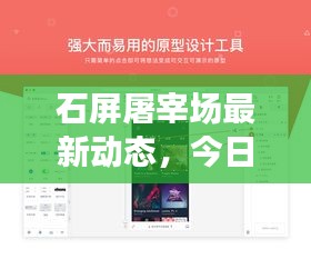 石屏屠宰场最新动态，今日工作状态与日常运营揭秘