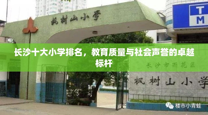 长沙十大小学排名，教育质量与社会声誉的卓越标杆