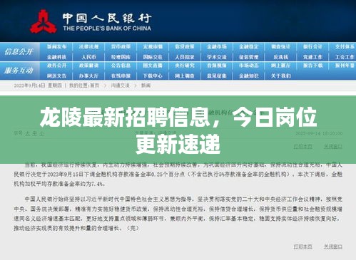龙陵最新招聘信息，今日岗位更新速递